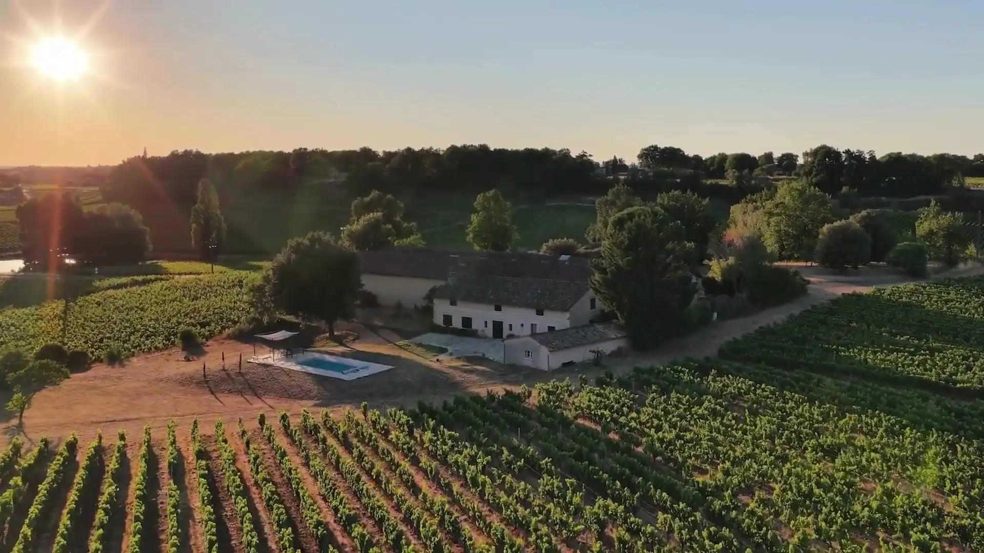Le Château au cœur de son vignoble