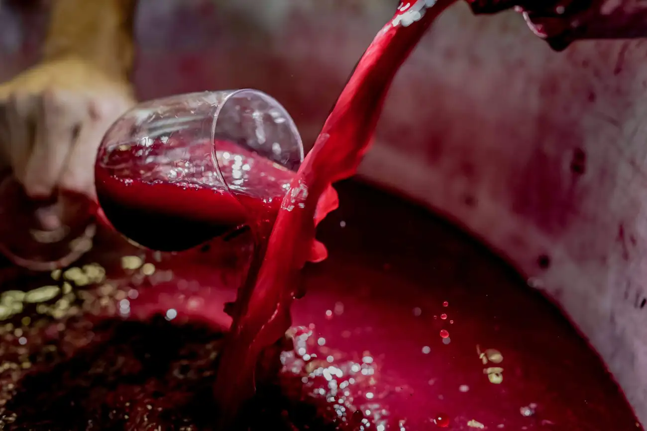 Le premier jus