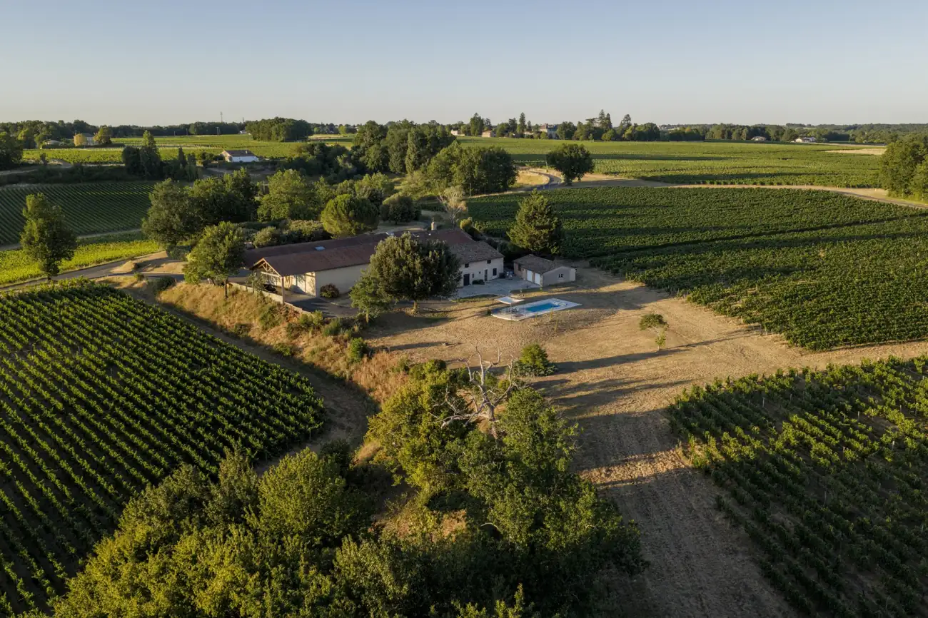 Le Château et ses vignes